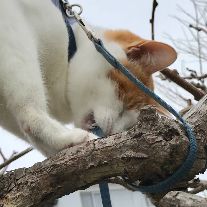 57762b13 28b5 418d 963a 5b9b6e13587a