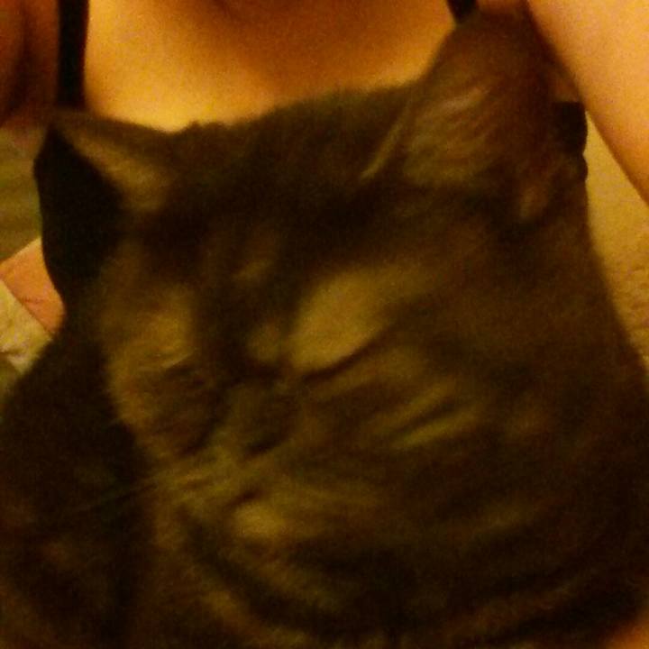 5776afab 90a3 4aca 86a2 ae171c2689b2