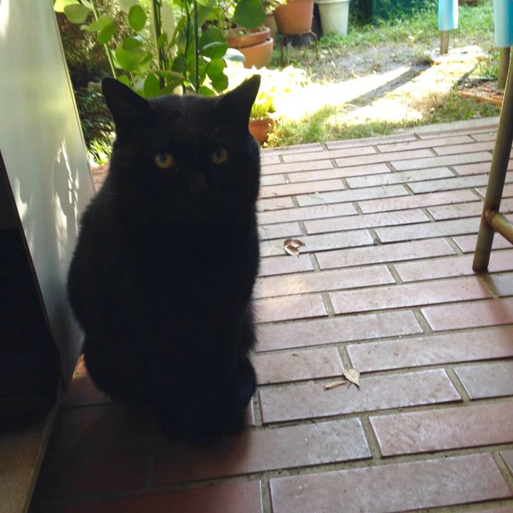 5777d378 6711 43ed b5a8 75502889395d