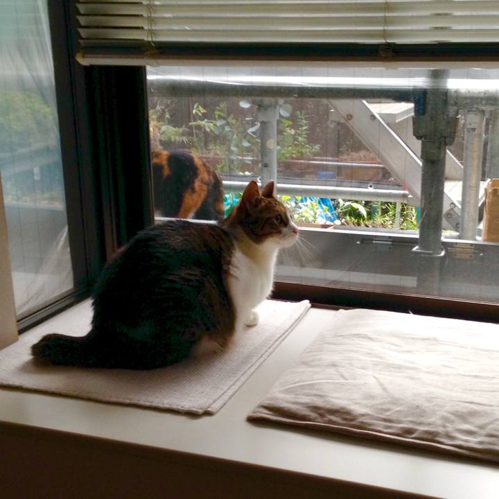 577852d9 bfa2 4b1a b465 1c79accb2577