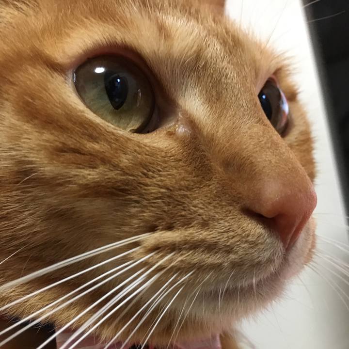 57786c70 d7f3 409a a066 a7a3ae6b7779