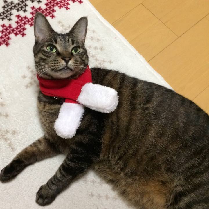 5778980d d80f 413b aa8d 5cac5a2c95a5