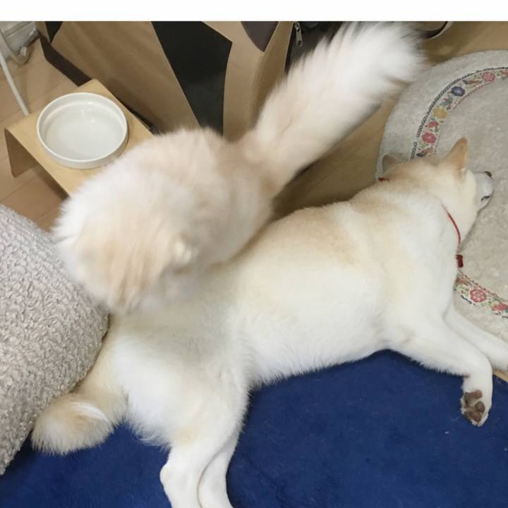 57797299 cb0c 4b39 b4fb bc370e672021