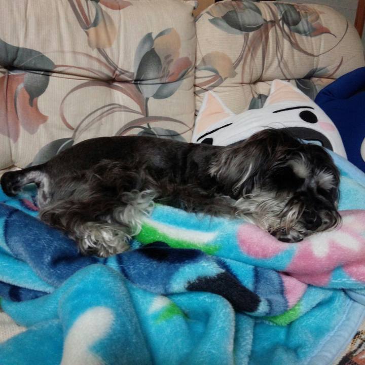 57798ef0 3c61 4ce1 85dc c50e4de42883