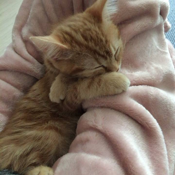 577a1eea c1ba 40f0 933e d5c531800452