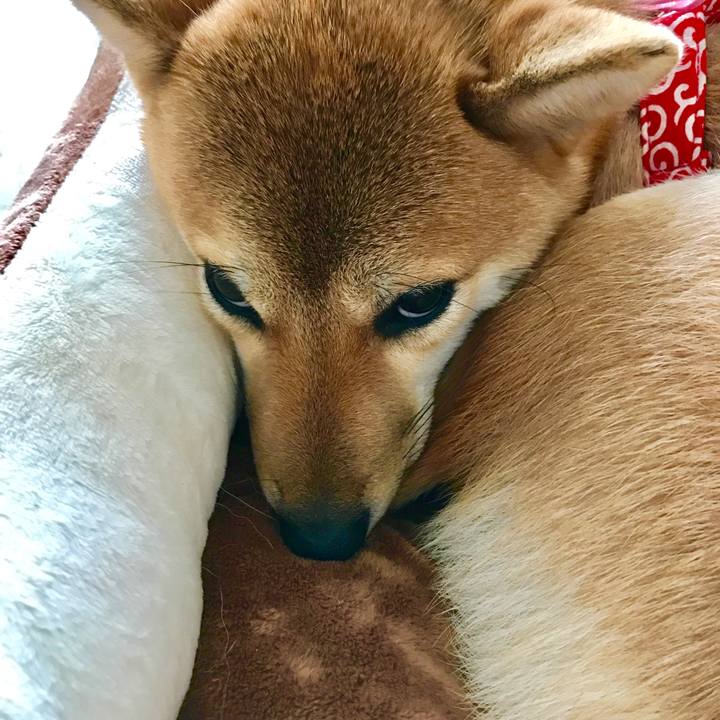 577a3f9a 673d 454d 9927 2104b826aec0