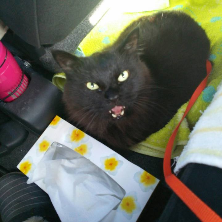 577a4a90 d4c3 4d79 9ed3 87346b361483