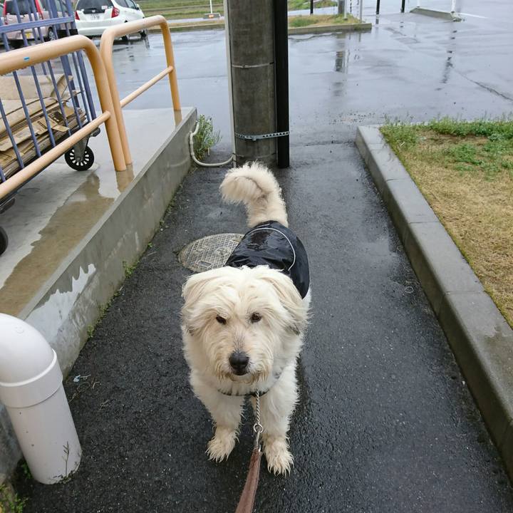 577a5360 bfb3 4753 b0d1 1ef33f9f20a0