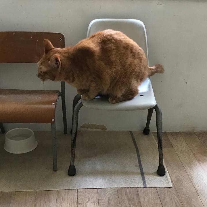 577b1aa3 4fc8 454f a127 4d29dc202f06