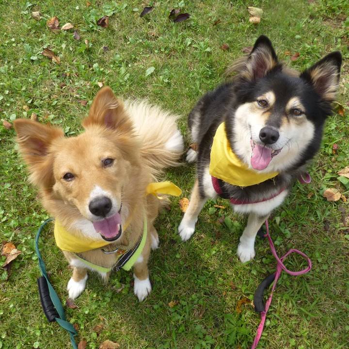 577b669b 3001 4972 b7a4 c921b0aeb6fe