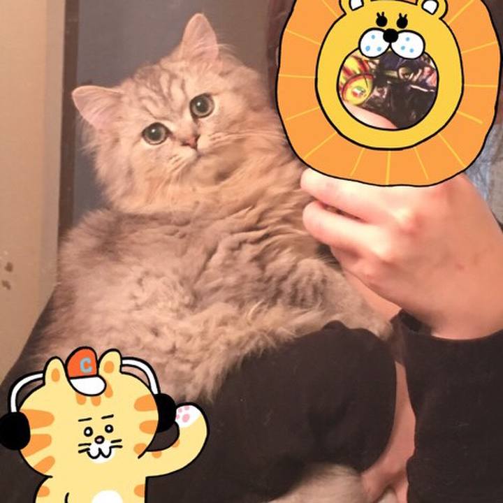 577bb4cf 7802 47ed ad83 3f7e6b33fbb2