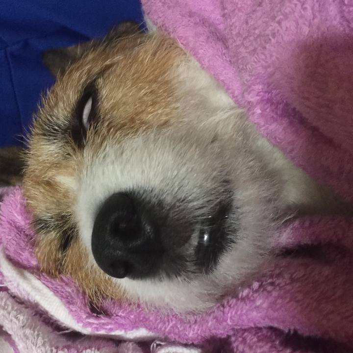 577bca95 9b1f 4b54 a3d6 70c3802723b4