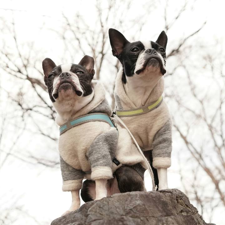 577c23e0 2f11 4c39 a41d 2a1b0c724bcf