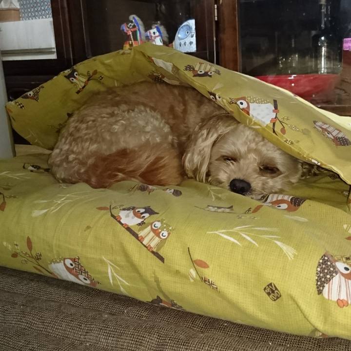 577c2a90 e09e 4045 ba8d 7d14a5166ccb