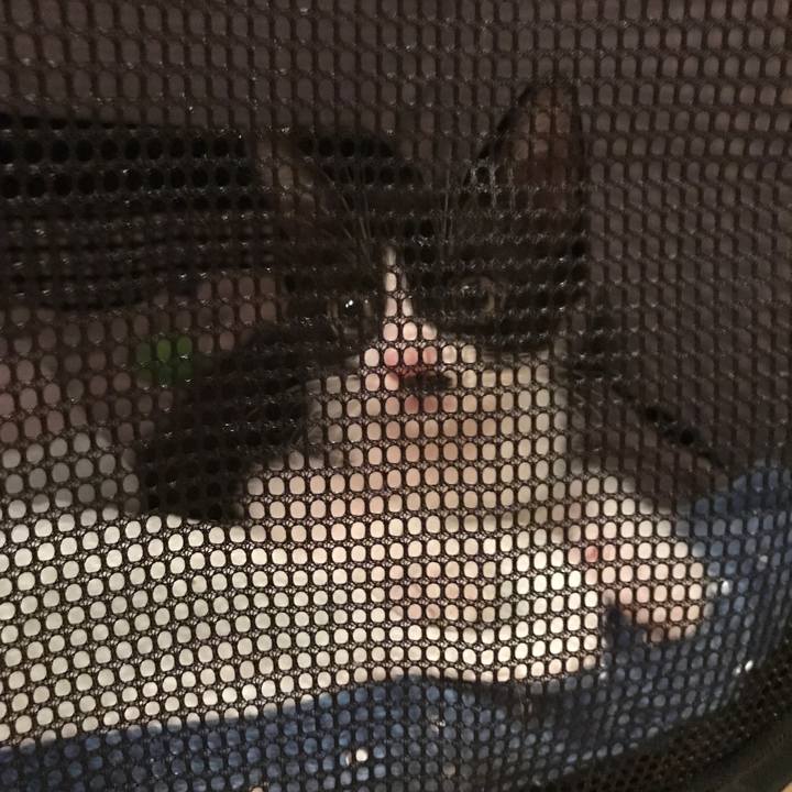 577c7f00 2180 4ecf 897c 5d1650a0e126