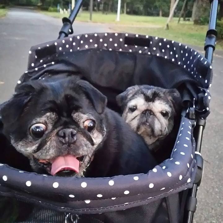 577c7f64 2fb4 4811 9cc1 6ac740bc4f5b