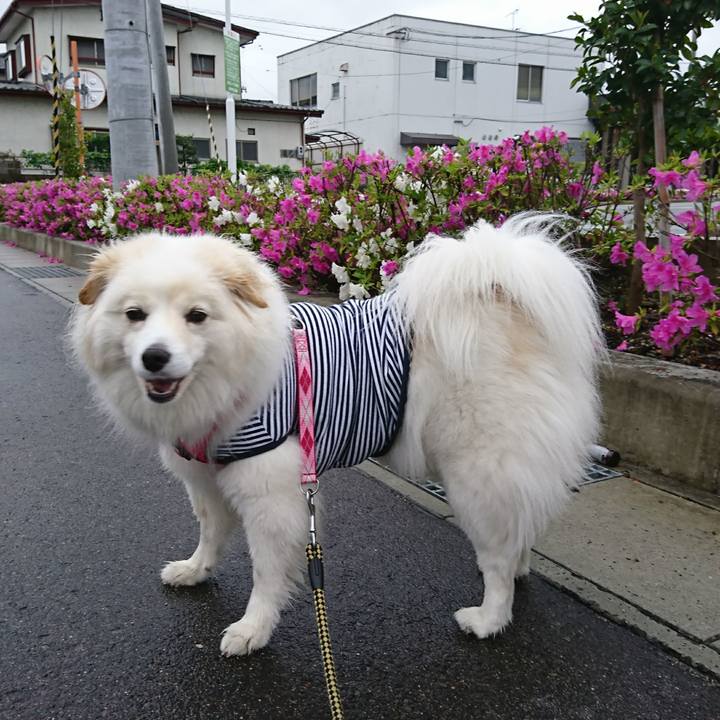 577cb7aa da5c 4ff3 89d9 6bfd205188cb