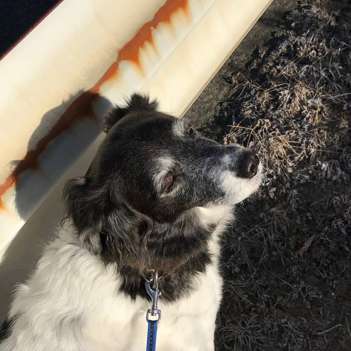 577d0aad 3e08 4f8d bce2 70ed36540e1e