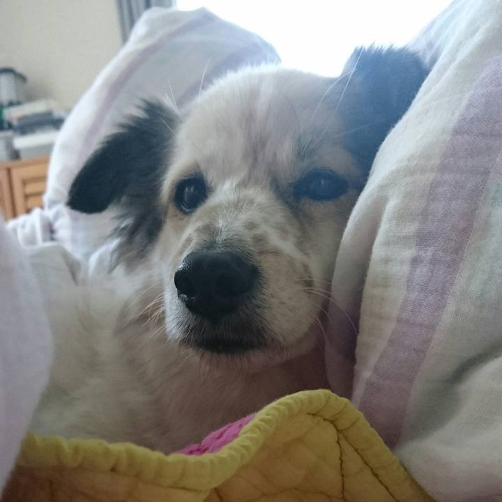 577d77bb 1428 4a6f 8fc9 ca9a824e2f94