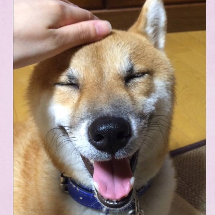 577d7d0c 2fad 4d4b b5fe 6f21ac74b650