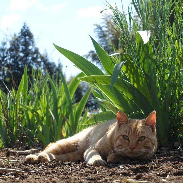 577d8ff0 01e8 4016 a92f 4da0d7002469