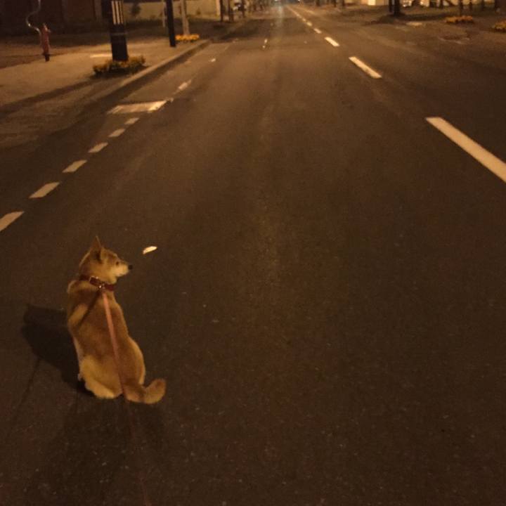 577e26e7 6be6 4c23 b676 0a4fb6db03bb