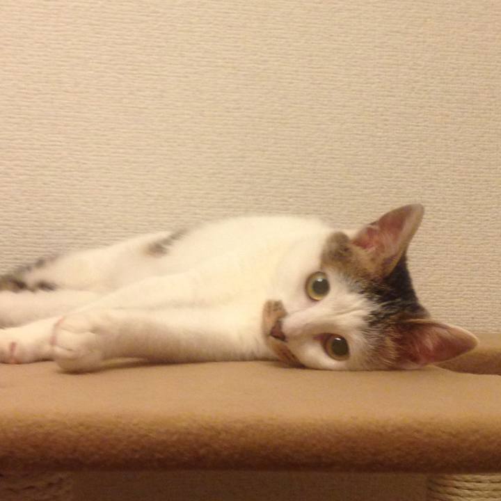 577e5632 8d95 495c ad16 7723180ab66d