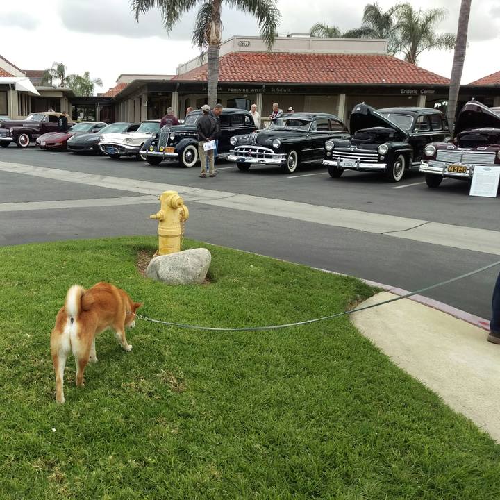 577ed017 ed54 428c 9113 cab6485f993b