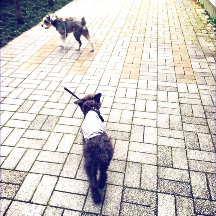 577f163a e68b 4268 8973 1fb46d8da7b2