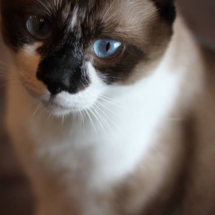 577f1aaf 9610 4923 8bb9 db4c489dcfa8