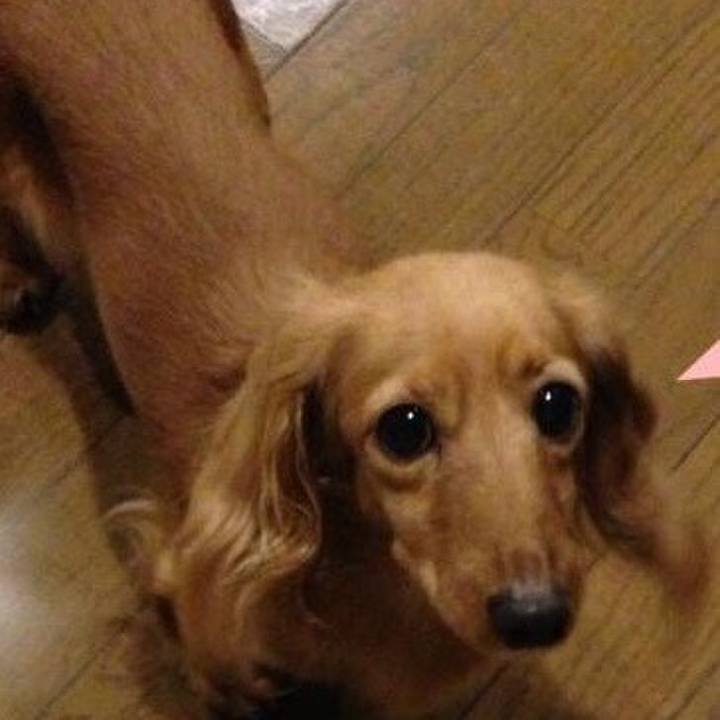 577f3c57 d6f5 4130 aa95 bde2d09d717f