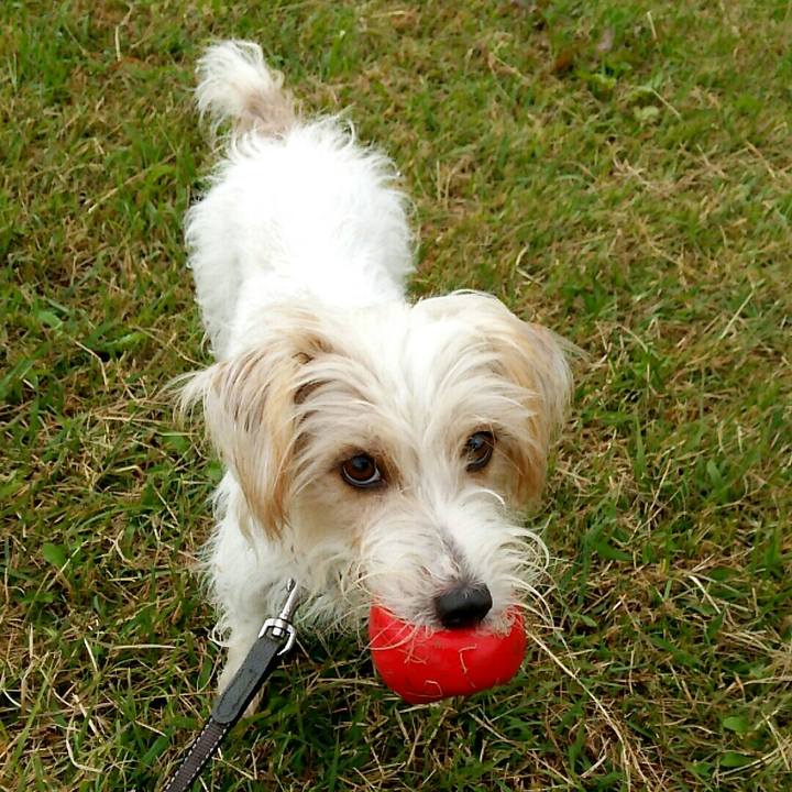 577f57e6 80df 4d13 9efa 23400dce39c7