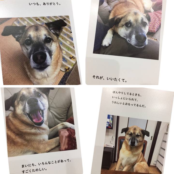 577f78f9 e754 4712 8987 44714fe21c2e