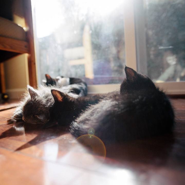 577fd815 9346 405d bfe2 14c51b2a7301