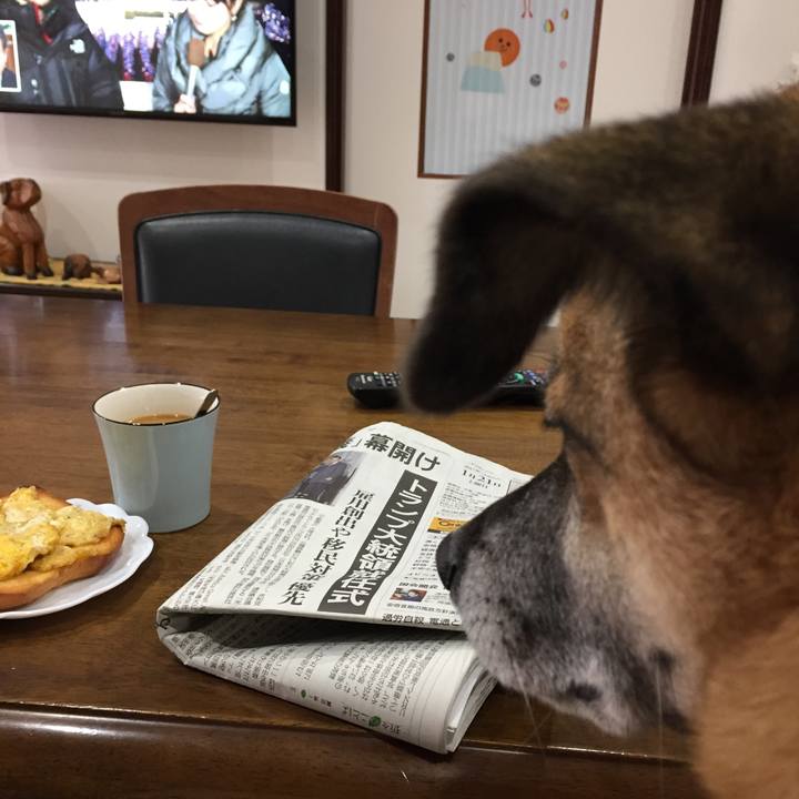 57807adf 1c83 4e08 a32e 9db5ccf23d86