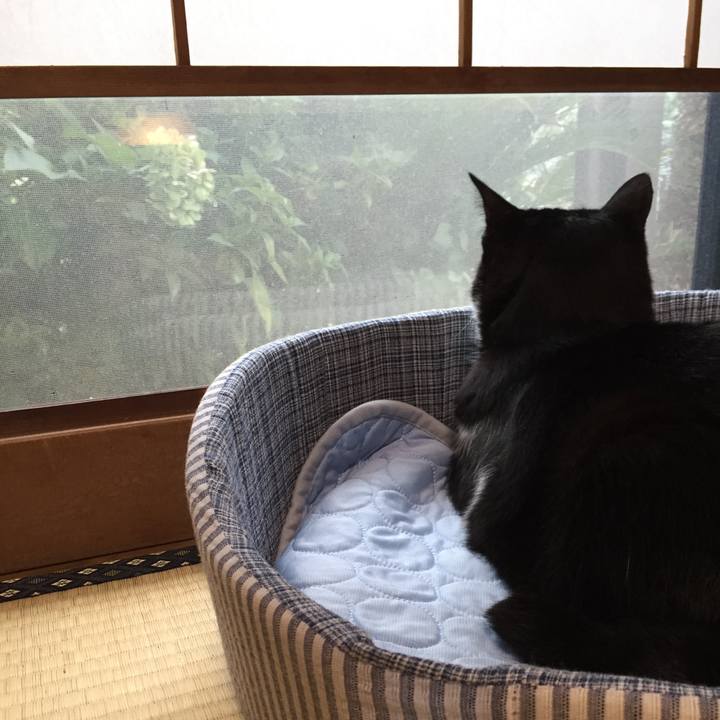 578097ae fab4 4b66 becf d949a649aa44