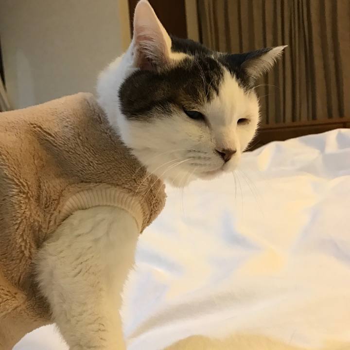 57810e64 0611 4c3b b589 3bd190a0f1c6