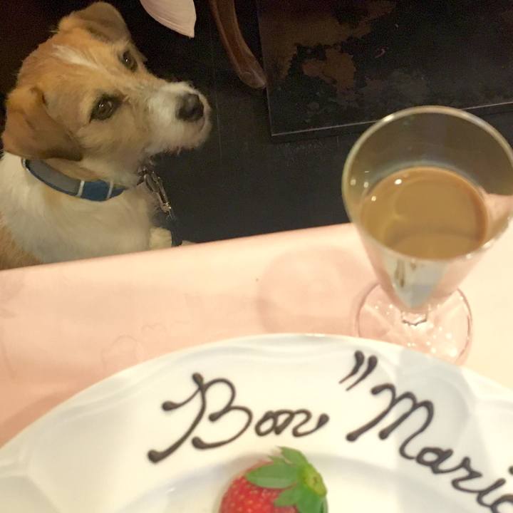 57816870 2025 4409 a3c3 9b9a4f4480aa