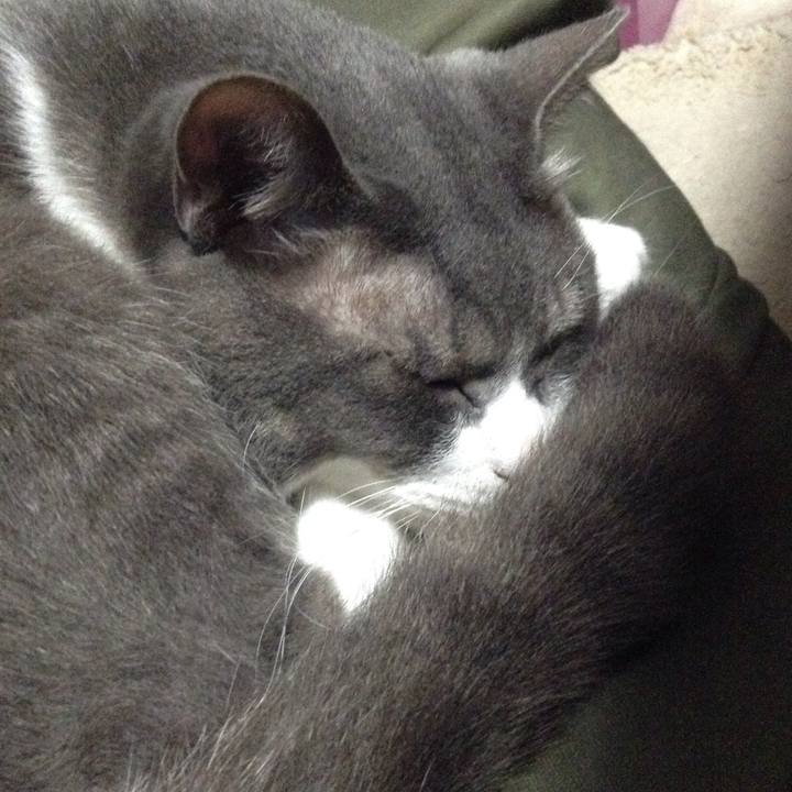 578425d4 179d 49c3 b108 e3fd4f4957e4