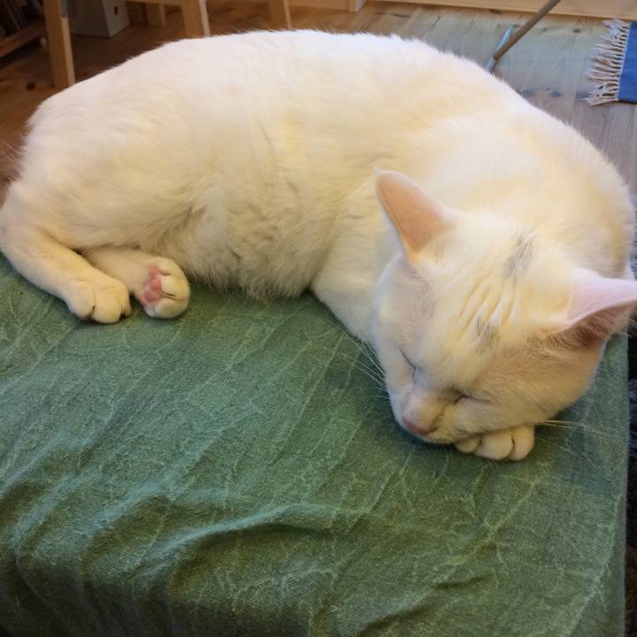 57846d97 f406 4c4e 9166 c2c56a8e1922