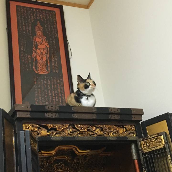 5784ff1e a53a 46c7 aeb4 93dc893c7c24