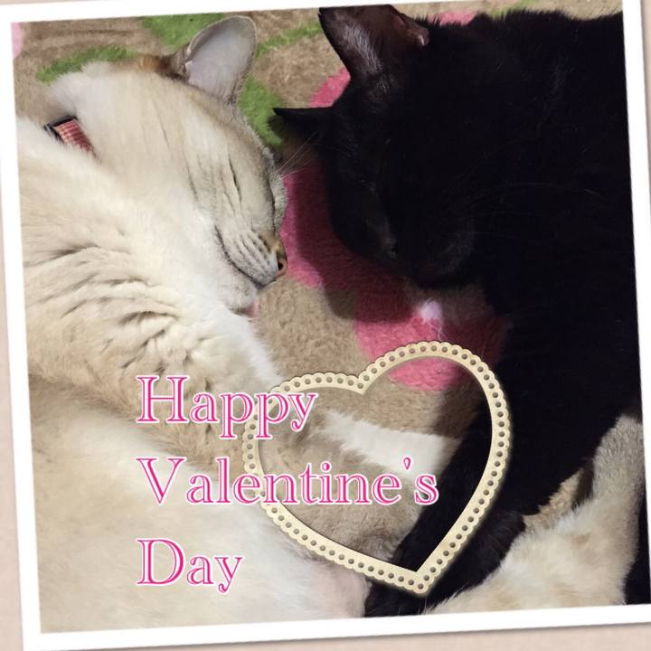 578596d0 37ed 48a3 b9e2 d98f2d3c0aed