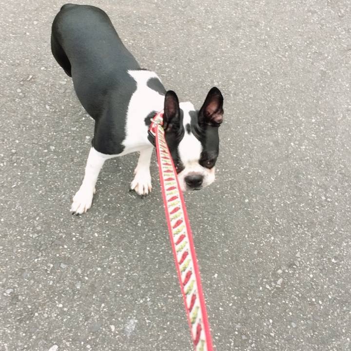 5785b329 abf9 4aaf 9396 48f22db41412