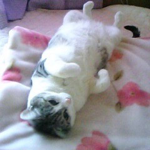 5785c4b9 fe33 4dc7 ad1c 1814902b375c