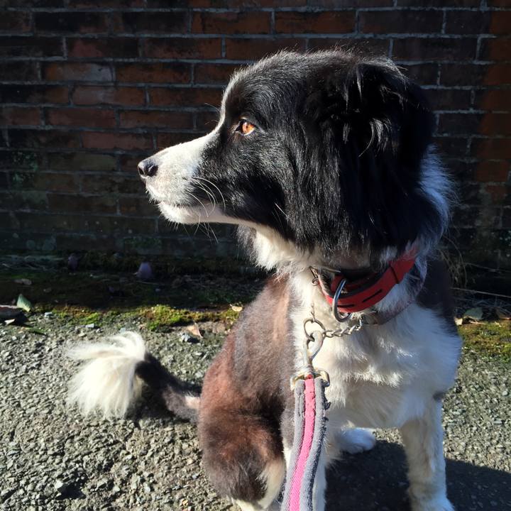 57865d36 ca13 4a94 9abb e7d8da9062b6