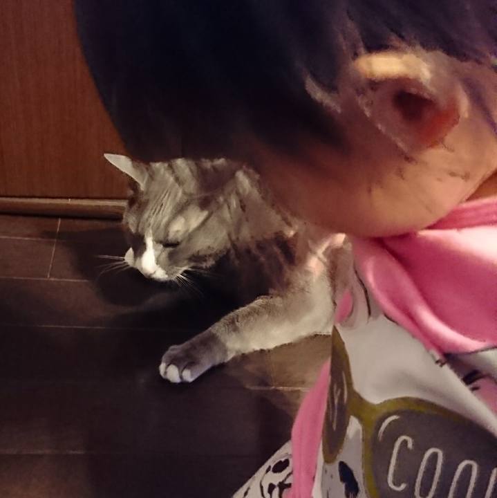 57868374 11d4 41f4 9855 561272136b7d