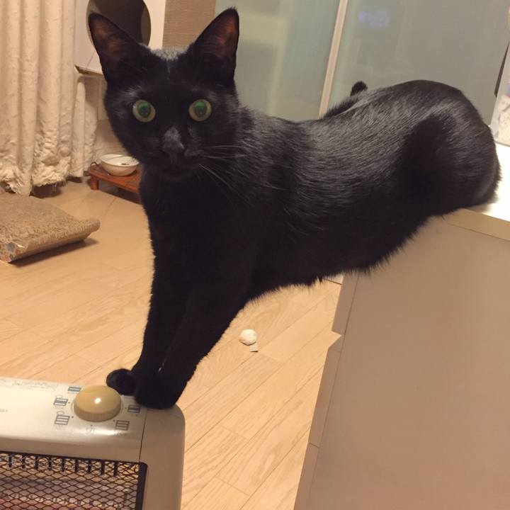 5786bdf6 f9f9 4463 826b 3c5ac63f4db3