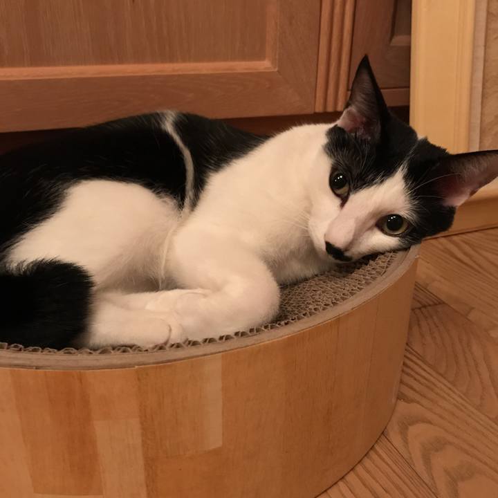 5786be6d b566 4d16 929c 9cb1d120d3e3