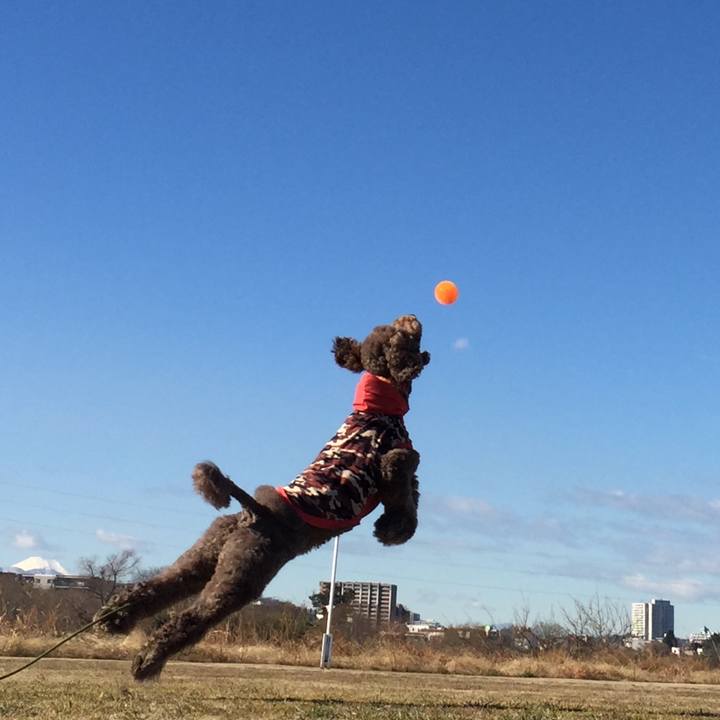 57870c22 4a02 4d06 90f0 43f4e4d2bc43