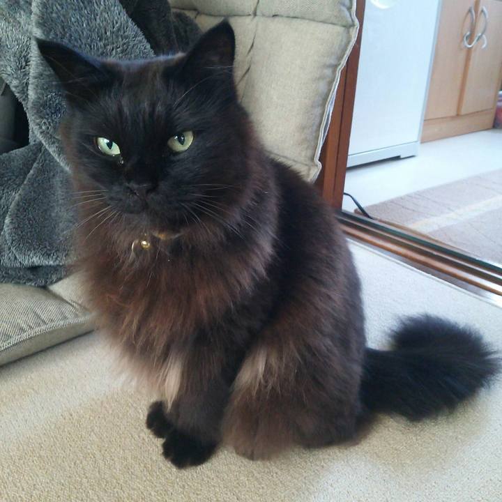 578798c5 aedd 4589 8b28 f1d494f7ef6b